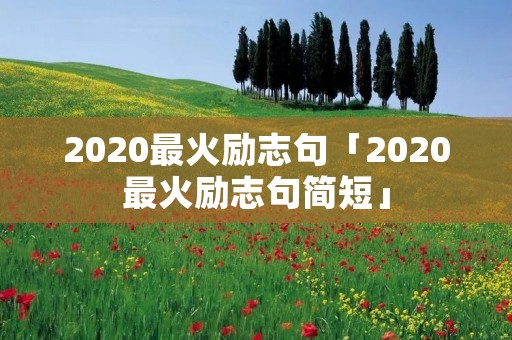 2020最火励志句「2020最火励志句简短」