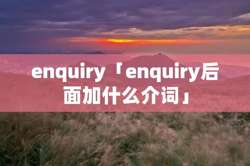 enquiry「enquiry后面加什么介词」