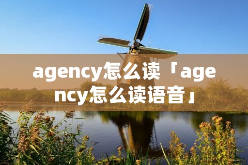 agency怎么读「agency怎么读语音」