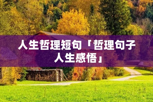 人生哲理短句「哲理句子 人生感悟」