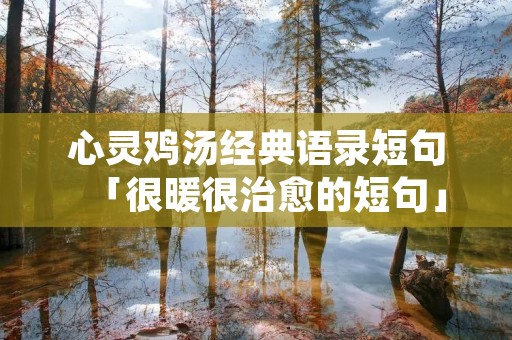 心灵鸡汤经典语录短句「很暖很治愈的短句」