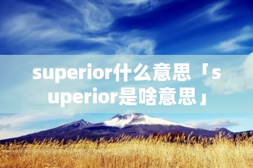 superior什么意思「superior是啥意思」