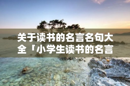 关于读书的名言名句大全「小学生读书的名言」