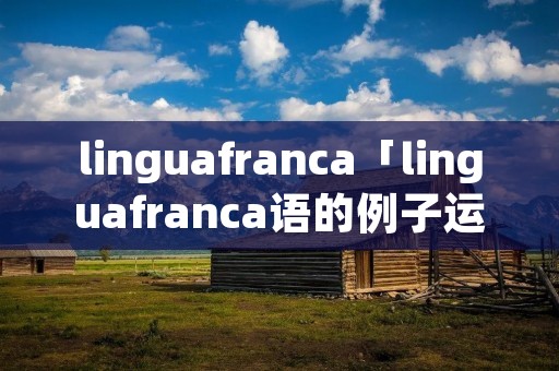 linguafranca「linguafranca语的例子运用」