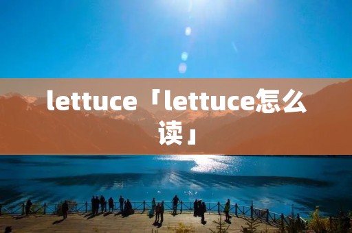 lettuce「lettuce怎么读」