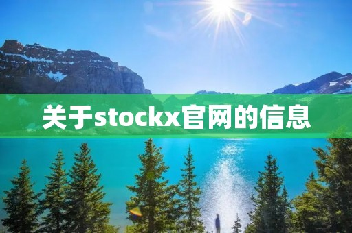 关于stockx官网的信息 关于stockx官网的信息
