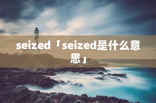 seized「seized是什么意思」