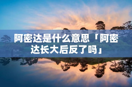 阿密达是什么意思「阿密达长大后反了吗」 阿密达是什么意思「阿密达长大后反了吗」