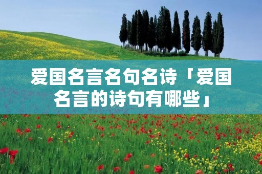 爱国名言名句名诗「爱国名言的诗句有哪些」