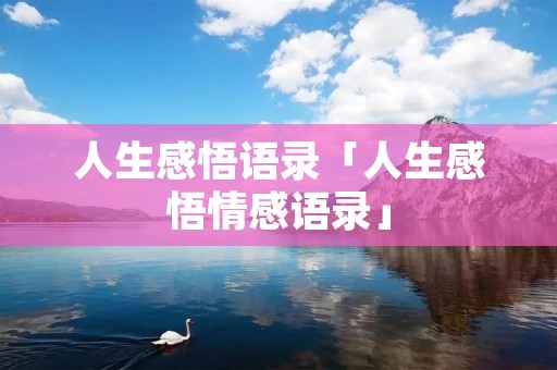 人生感悟语录「人生感悟情感语录」