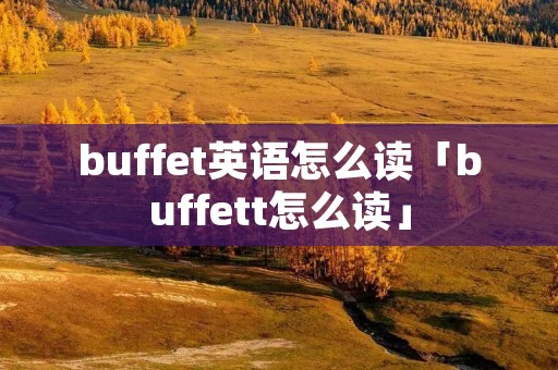 buffet英语怎么读「buffett怎么读」