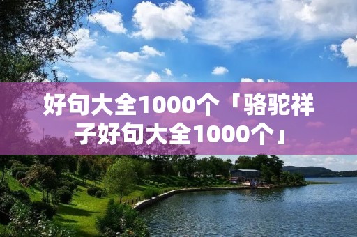好句大全1000个「骆驼祥子好句大全1000个」
