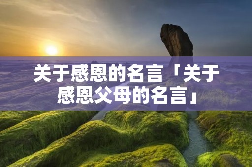 关于感恩的名言「关于感恩父母的名言」