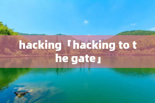hacking「hacking to the gate」