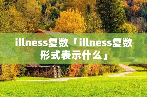 illness复数「illness复数形式表示什么」