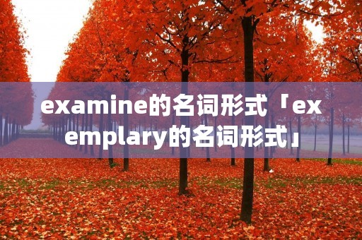 examine的名词形式「exemplary的名词形式」