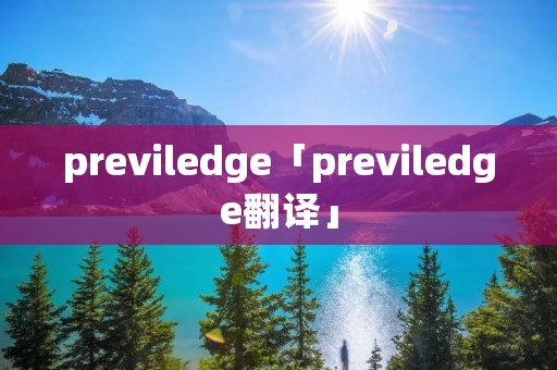 previledge「previledge翻译」