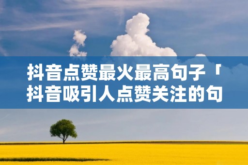 抖音点赞最火最高句子「抖音吸引人点赞关注的句子」