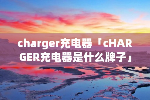 charger充电器「cHARGER充电器是什么牌子」