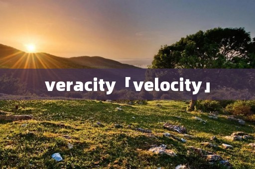 veracity「velocity」