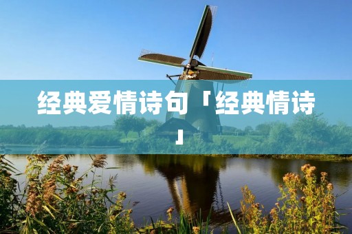 经典爱情诗句「经典情诗」