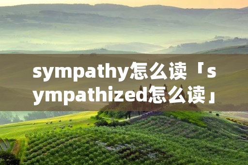sympathy怎么读「sympathized怎么读」
