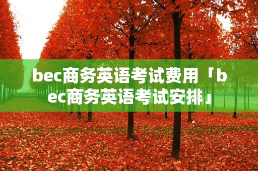 bec商务英语考试费用「bec商务英语考试安排」 bec商务英语考试费用「bec商务英语考试安排」