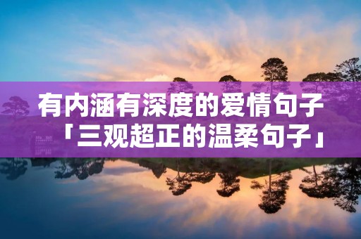 有内涵有深度的爱情句子「三观超正的温柔句子」