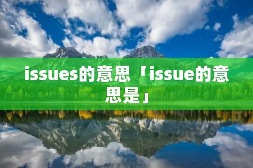 issues的意思「issue的意思是」
