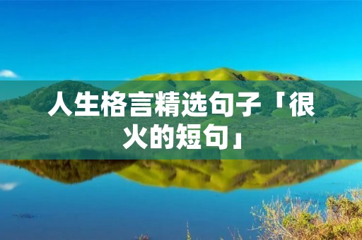 人生格言精选句子「很火的短句」