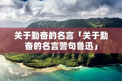关于勤奋的名言「关于勤奋的名言警句鲁迅」