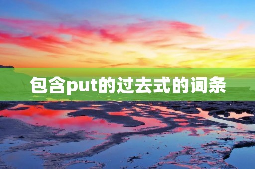 包含put的过去式的词条
