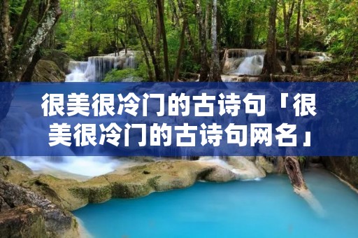 很美很冷门的古诗句「很美很冷门的古诗句网名」