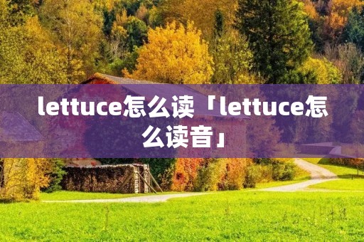 lettuce怎么读「lettuce怎么读音」 lettuce怎么读「lettuce怎么读音」