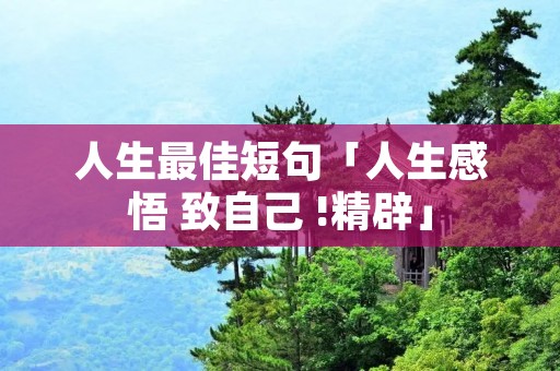 人生最佳短句「人生感悟 致自己 !精辟」