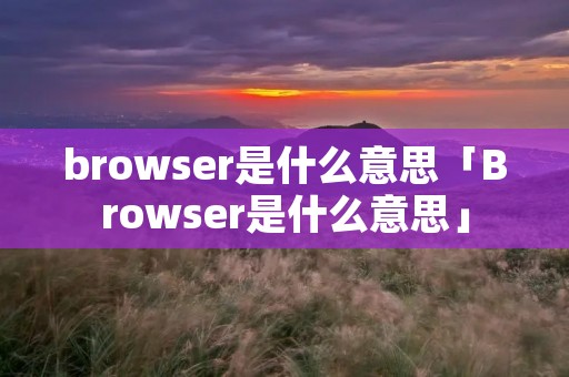 browser是什么意思「Browser是什么意思」