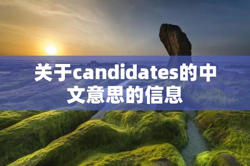 关于candidates的中文意思的信息