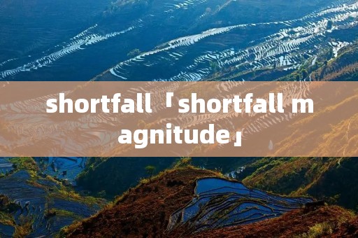 shortfall「shortfall magnitude」 shortfall「shortfall magnitude」