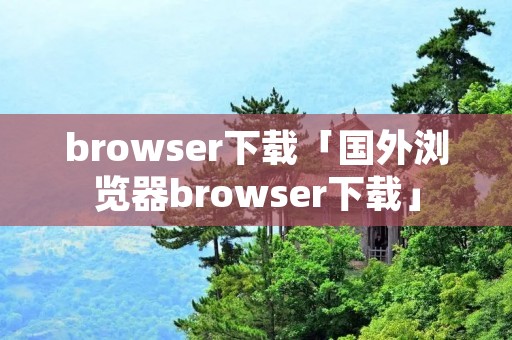 browser下载「国外浏览器browser下载」