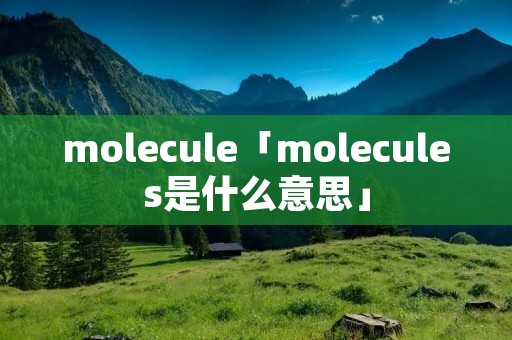 molecule「molecules是什么意思」