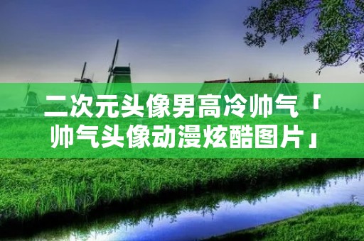 二次元头像男高冷帅气「帅气头像动漫炫酷图片」