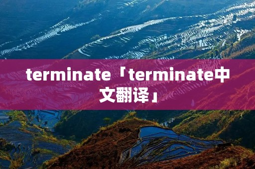 terminate「terminate中文翻译」