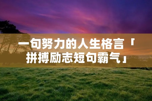 一句努力的人生格言「拼搏励志短句霸气」