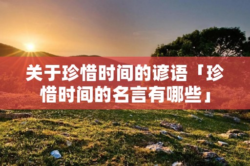 关于珍惜时间的谚语「珍惜时间的名言有哪些」