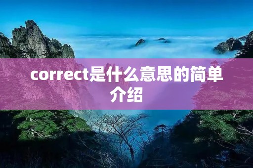 correct是什么意思的简单介绍