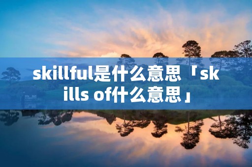skillful是什么意思「skills of什么意思」