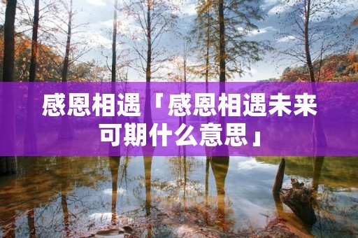 感恩相遇「感恩相遇未来可期什么意思」