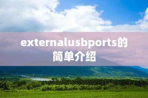externalu**ports的简单介绍 externalu**ports的简单介绍