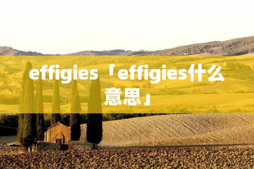 effigies「effigies什么意思」 effigies「effigies什么意思」