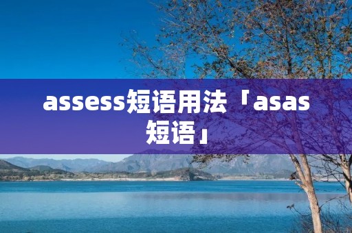 assess短语用法「asas短语」 assess短语用法「asas短语」